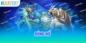 Rồng Hổ